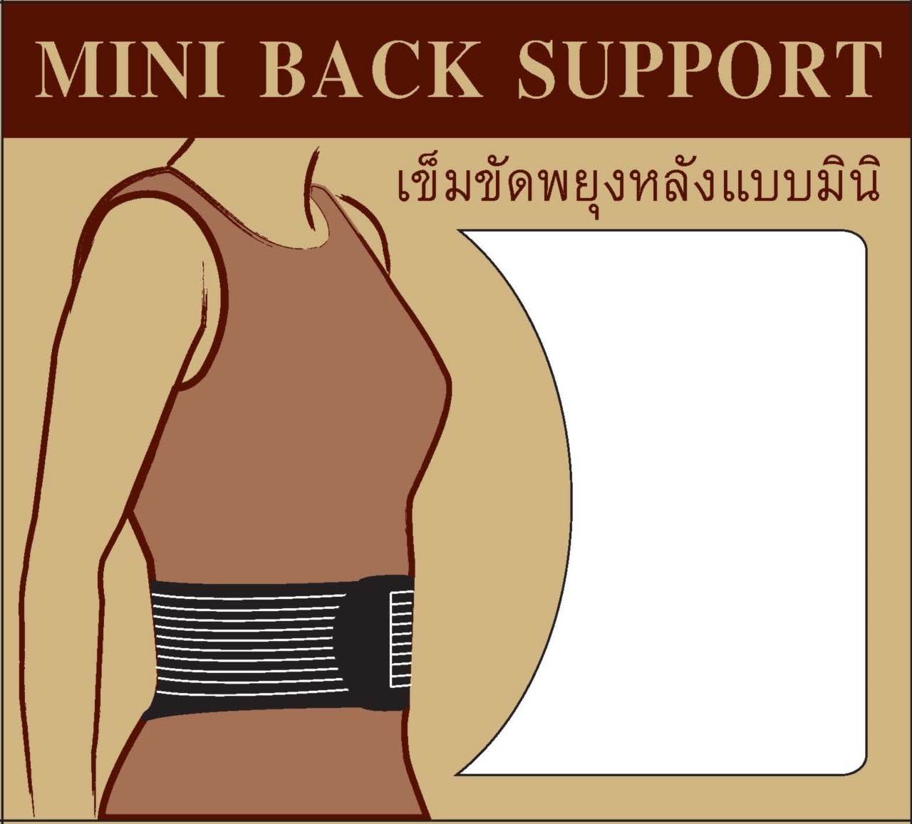 Mini Back Support