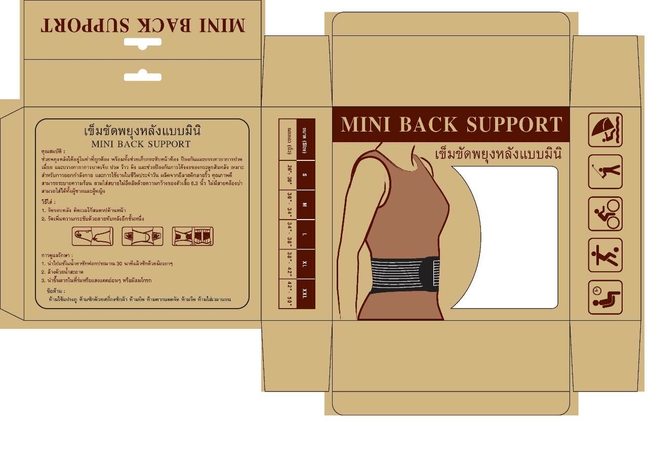 Mini Back Support